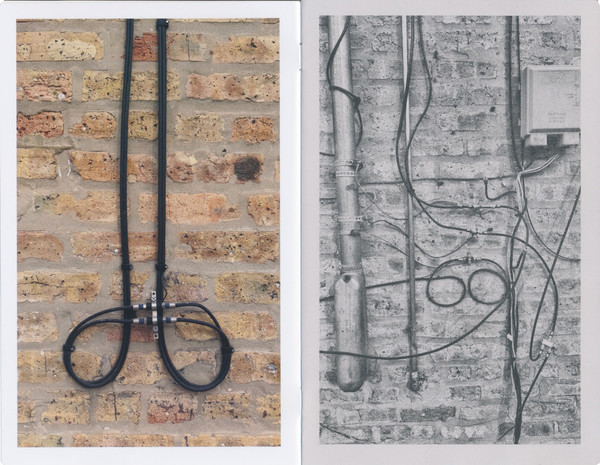 Morning Walks: Second Set of 5 Booklets