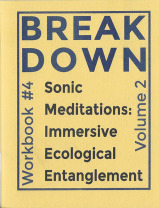 Break Down Workbook #4—Sonic Meditations: Immersive Ecological Entanglement, Vol. 2 [PDF]