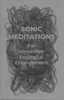 Sonic Meditations for Immersive Ecological Entanglement