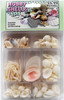 Pink and White Seashell Collection