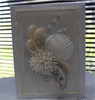 Seashell Ideas