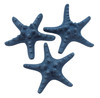 Ptd Armoured Starfish 4-5"