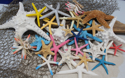 STARFISH STARFISH