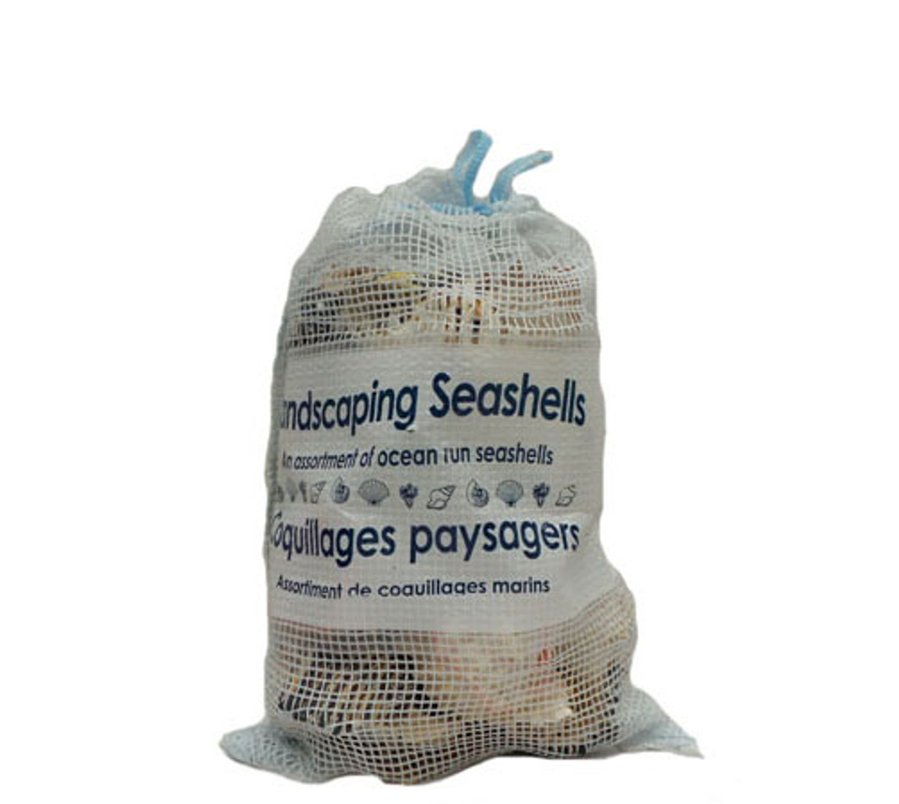 GOV Sea Shell Value Pack 3 Pound Bag of Large to India  Ubuy