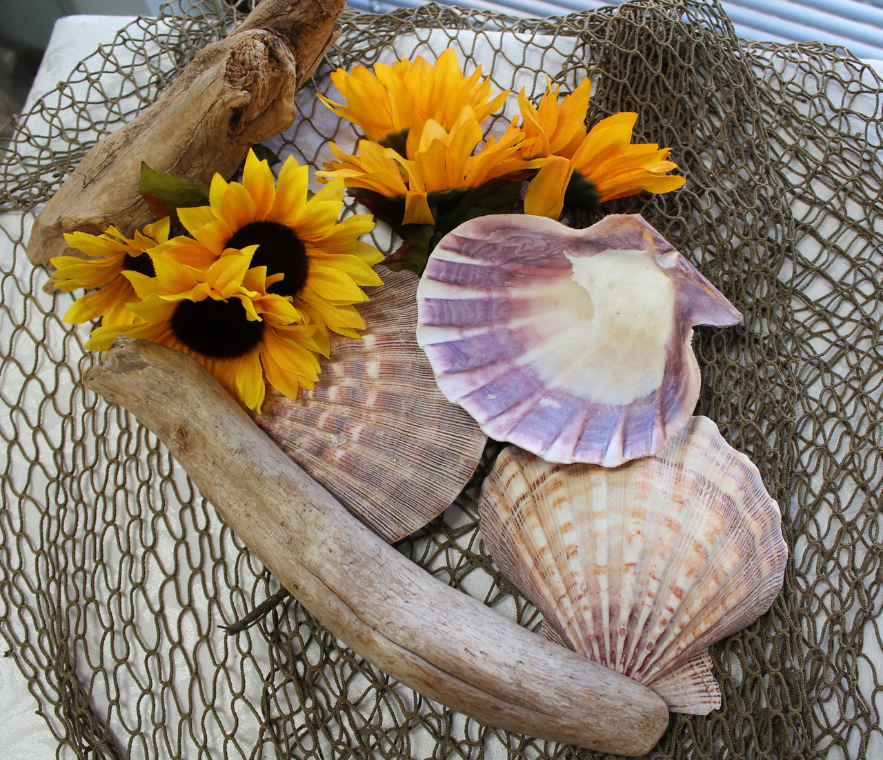 www.usshell.com