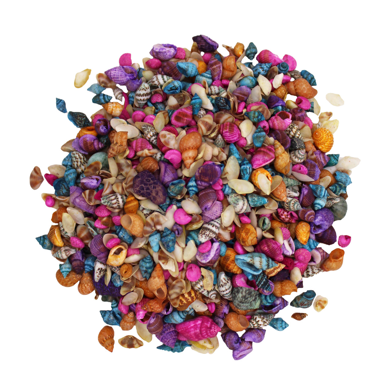 Tiny Seashell Assorted Ocean Mix For Crafts - (approx. 1 Kilogram