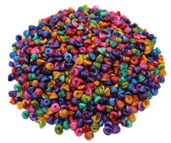 Dyed Umbonium (Kilo)