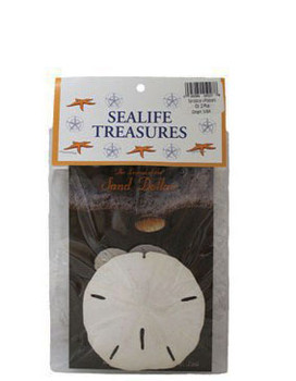 Sanddollar W/PostCard  