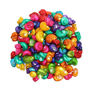 Dyed Pearl Turbo Large Coated