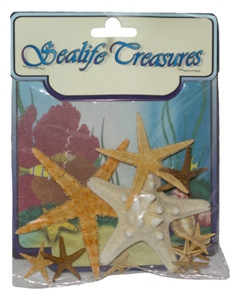 Mixed Starfish