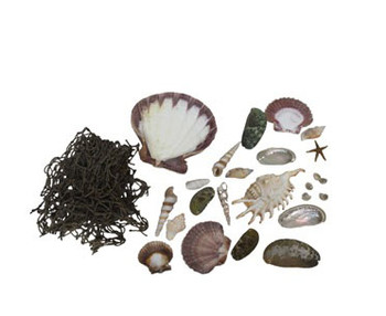 Lion's Paw Arrangement Kit