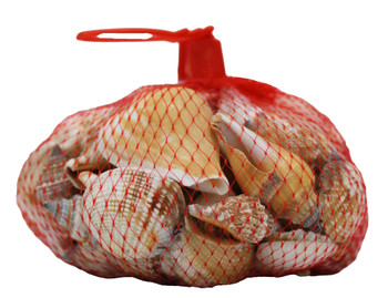 Bag of Seashells 