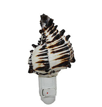 Black Murex Seashell Night Light