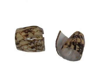 Bat Volute Napkin Ring