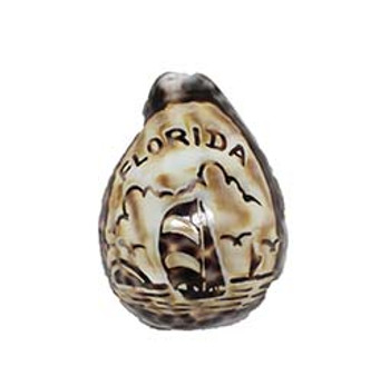 Carved Tiger Cowrie- Cut for Night Light - Florida