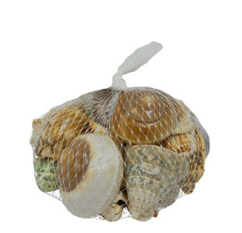 Deluxe Seashell Bag 