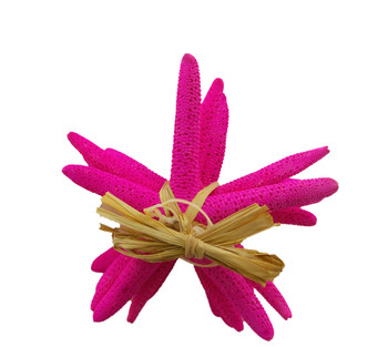 Dyed  Pink Finger Stars Gift Bundle 4 - 5"