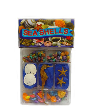 Dyed  Seashells,  Starfish & Sanddollar Collection