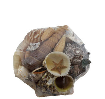 Baking Dish Shell Pack