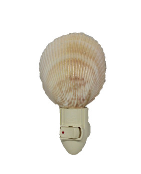 Large Rose Cockle Seashell Night Light