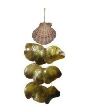 Lion's Paw Windchime w/Dyed Oyster Seashells