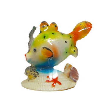 Ovula Ovum Fish
