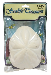 Sea Biscuit- Craft Pack