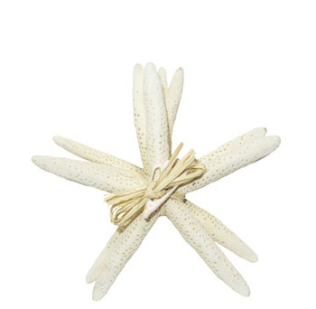 White Finger Star Bundle  8-10" Set of 4