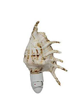Spider Seashell Night Light