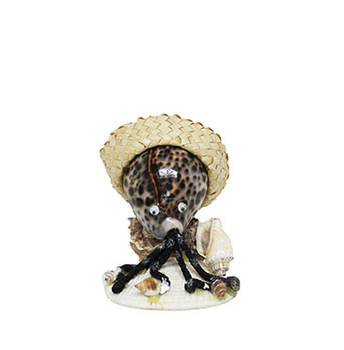 Tiger Cowrie Octopus With Hat