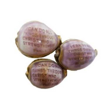 Carved Tiger Cowrie Phil 4:13