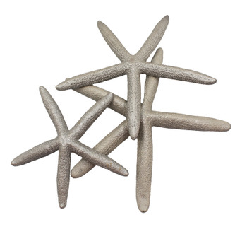 Painted Finger Starfish-Silver Painted Finger Starfish-Silver