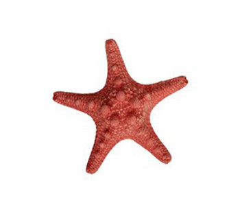 Dyed Orange Armoured Star