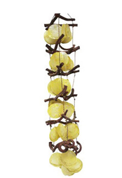Curly Vine With Yellow Saddle