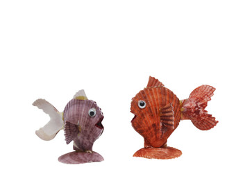 Pecten Noblis Fish