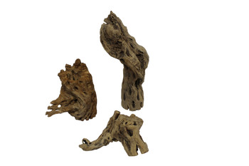 Cholla Wood Junk