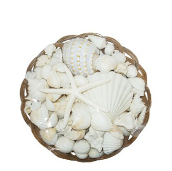 12" Midrib Shell Pack W/White Mix