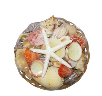 12" Midrib Shell Pack W/Natural Mix