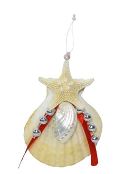 Pecten W/White Arm Star Ornament