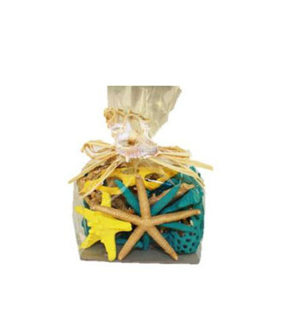 Spring Starfish & Cholla Mix
