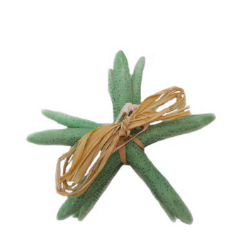White Finger Starfish Bundle 6 - 7"- Hemlock Green- Set of 4- W/Raffia & Slice Tie