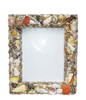 Seashell Picture Frame  12 x 14"
