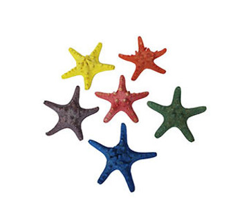 Assorted Dyed Armoured Starfish 