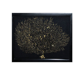 Gold Seafan In Shadow Box
