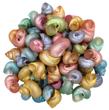 Dyed Pearlized Turbos