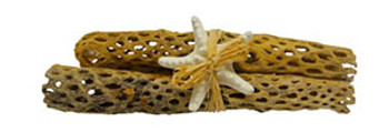 Cholla Wood Bundle Set/2