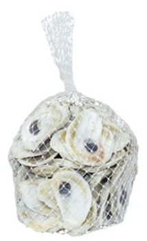 Oyster Mesh Bag
