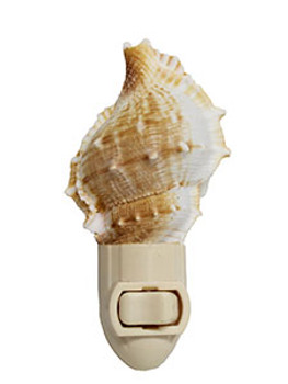 Frog Shell Night Light Frog Shell Night Light