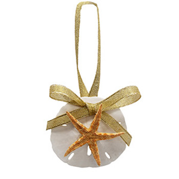 Sanddollar & Flat Star Ornament