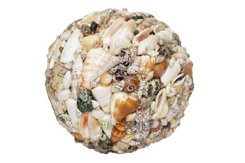 6" Ass't Shells Shell Ball